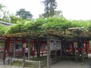 P1070230