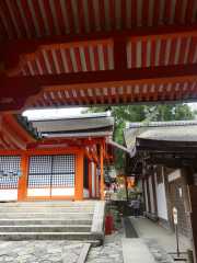 P1070238