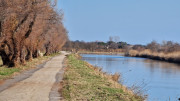CAILAR_24_01-112