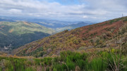 Bonperrier_24_11-109