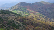 Bonperrier_24_11-113