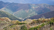 Bonperrier_24_11-119
