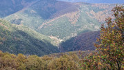 Bonperrier_24_11-123