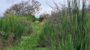 Bonperrier_24_11-128