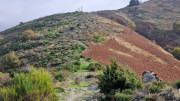 Bonperrier_24_11-131