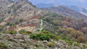 Bonperrier_24_11-136