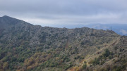 Bonperrier_24_11-137