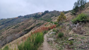Bonperrier_24_11-138