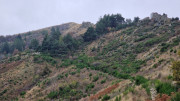 Bonperrier_24_11-139