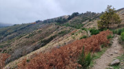 Bonperrier_24_11-141