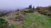 Bonperrier_24_11-147