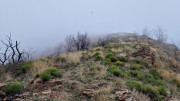 Bonperrier_24_11-158
