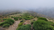 Bonperrier_24_11-164