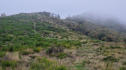 Bonperrier_24_11-169