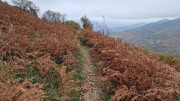 Bonperrier_24_11-175