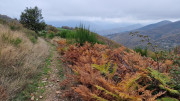 Bonperrier_24_11-179