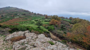 Bonperrier_24_11-180