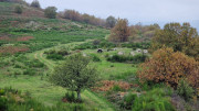 Bonperrier_24_11-181