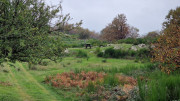 Bonperrier_24_11-182