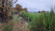 Bonperrier_24_11-186