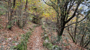Bonperrier_24_11-193