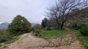 Bonperrier_24_11-196