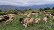 Bonperrier_24_11-202