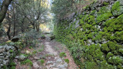 Bonperrier_24_11-21
