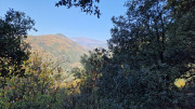 Bonperrier_24_11-22
