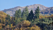 Bonperrier_24_11-33