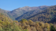 Bonperrier_24_11-41