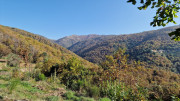 Bonperrier_24_11-47