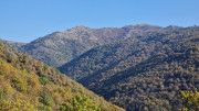 Bonperrier_24_11-48