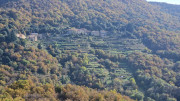 Bonperrier_24_11-51