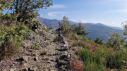 Bonperrier_24_11-60