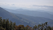 Bonperrier_24_11-64