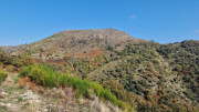Bonperrier_24_11-68