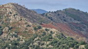 Bonperrier_24_11-76