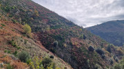 Bonperrier_24_11-78