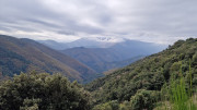 Bonperrier_24_11-82