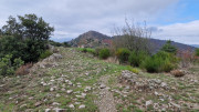 Bonperrier_24_11-83