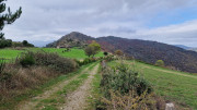 Bonperrier_24_11-88