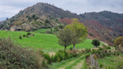 Bonperrier_24_11-89