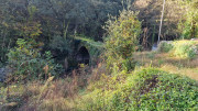 Bonperrier_24_11-9