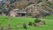 Bonperrier_24_11-90