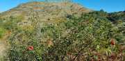 bonperrier_19_10-13