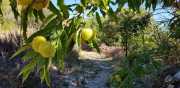 bonperrier_19_10-8