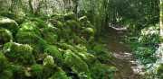 DURZON_19_09-14
