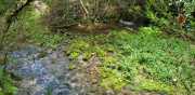 DURZON_19_09-16