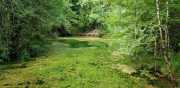 DURZON_19_09-20